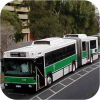 Articulated buses